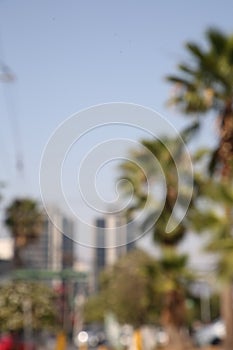 San Pedro Garza Garcia, Mexico Ã¢â¬â March 20, 2023: Blurred view of city with buildings and green palms photo